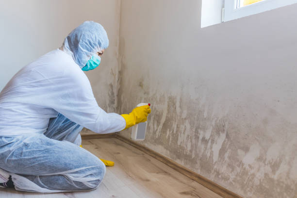 Hvac And Air Duct Mold Remediation inspection of HVAC system in Keller