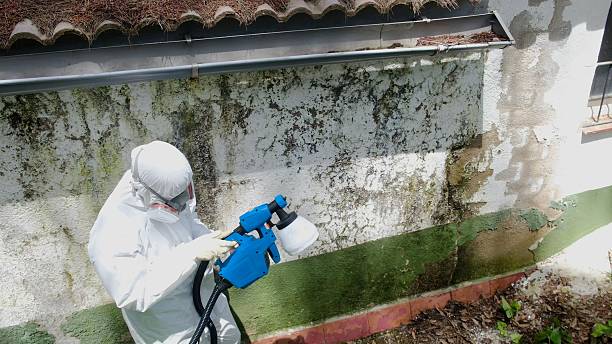 Mold Remediation service in Keller, Keller, TX
